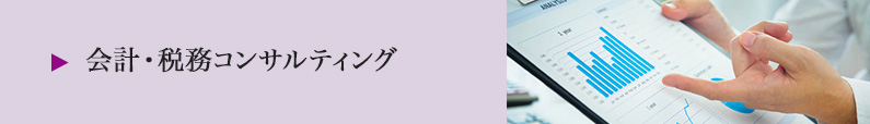 会計・税務コンサルティング